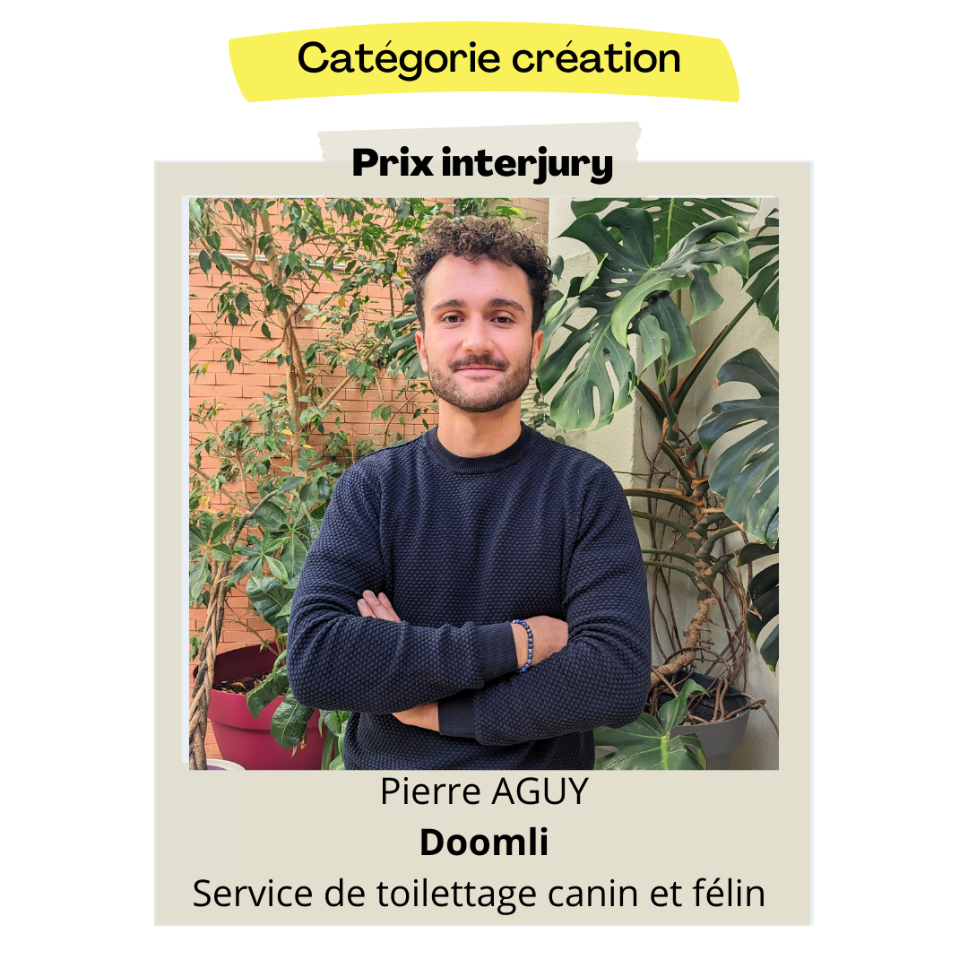 Pierre Aguy - Service de toilettage canin et félin - Prix interjury - talents des quartiers Montpellier - BGE Sud-Ouest